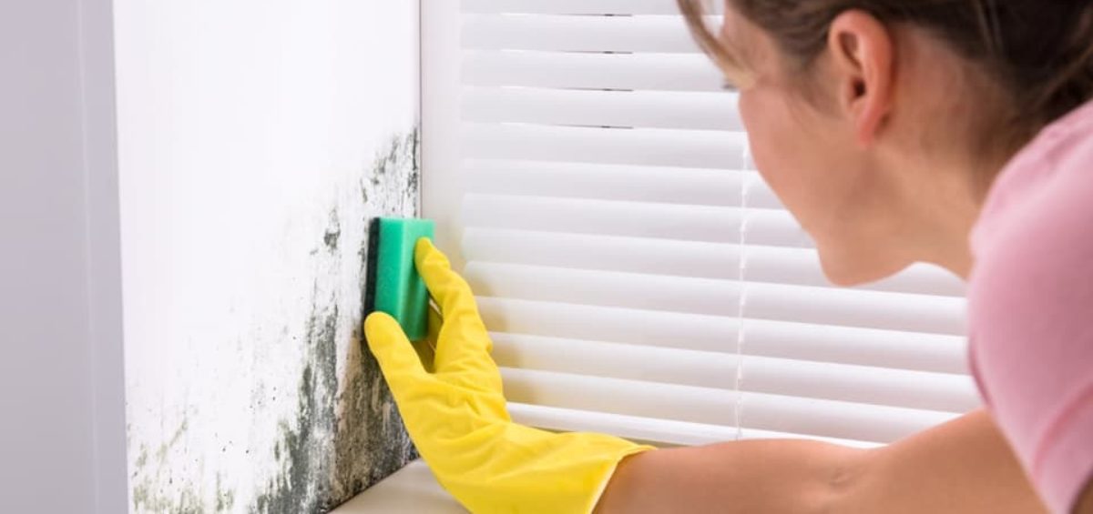 How to Prevent Mould – Protect Your Home & Health | Atlas Glass